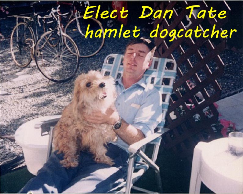 Dan for Dogcatcher